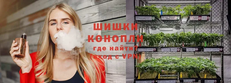 Марихуана THC 21%  Бобров 